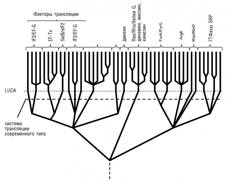 Иллюстрация к книге — Логика случая. О природе и происхождении биологической эволюции [i_096.jpg]
