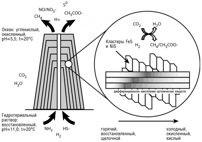 Иллюстрация к книге — Логика случая. О природе и происхождении биологической эволюции [i_099.jpg]