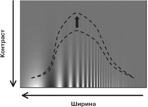 Иллюстрация к книге — Почему девочки не хуже мальчиков разбираются в математике [i_010.jpg]