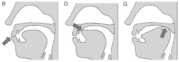 Иллюстрация к книге — Почему девочки не хуже мальчиков разбираются в математике [i_023.jpg]