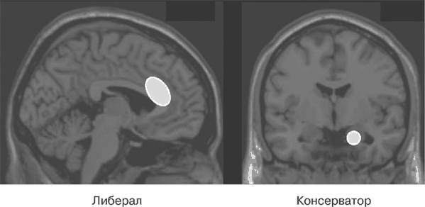 Иллюстрация к книге — Почему девочки не хуже мальчиков разбираются в математике [i_029.jpg]