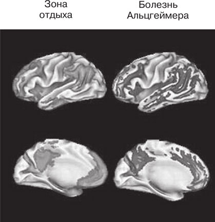 Иллюстрация к книге — Почему девочки не хуже мальчиков разбираются в математике [i_031.jpg]