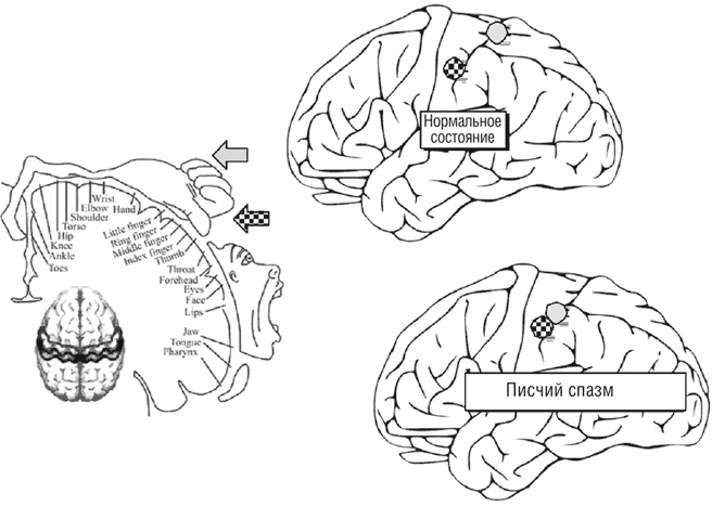 Иллюстрация к книге — Почему девочки не хуже мальчиков разбираются в математике [i_034.jpg]