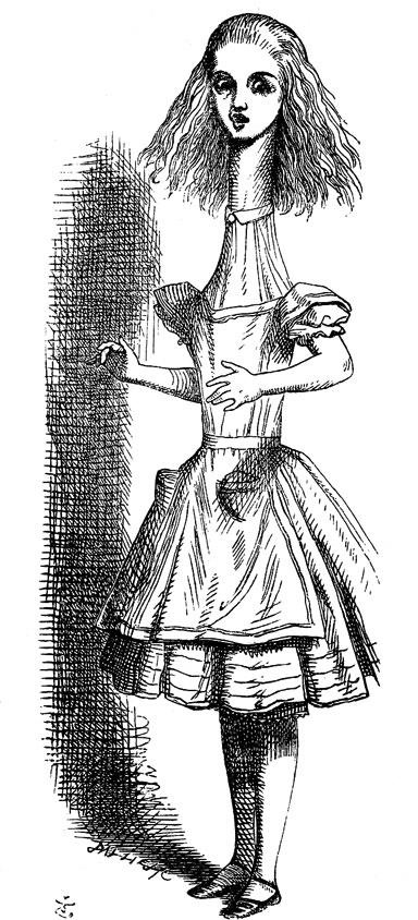 Иллюстрация к книге — Дуэль нейрохирургов. Как открывали тайны мозга, и почему смерть одного короля смогла перевернуть науку [i_037.jpg]