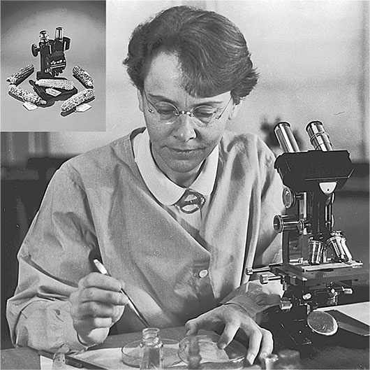 Иллюстрация к книге — Синдром Паганини и другие правдивые истории о гениальности, записанные в нашем генетическом коде [i_008.jpg]