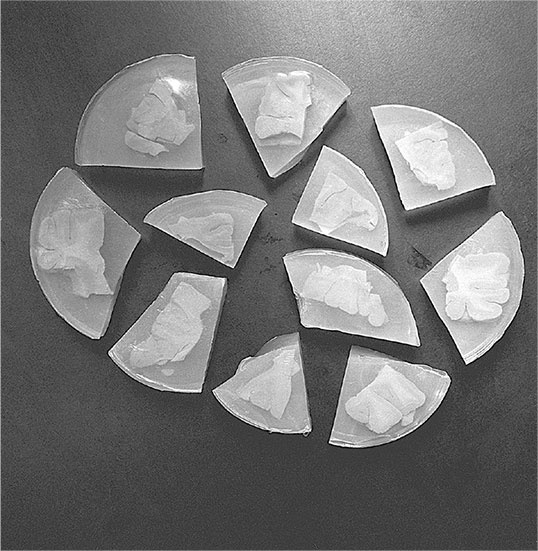 Иллюстрация к книге — Синдром Паганини и другие правдивые истории о гениальности, записанные в нашем генетическом коде [i_017.jpg]