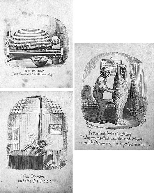 Иллюстрация к книге — Синдром Паганини и другие правдивые истории о гениальности, записанные в нашем генетическом коде [i_021.jpg]