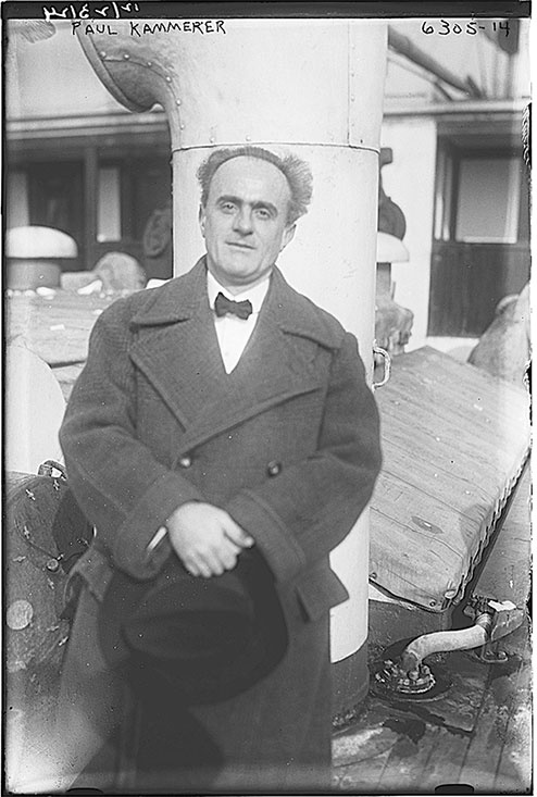 Иллюстрация к книге — Синдром Паганини и другие правдивые истории о гениальности, записанные в нашем генетическом коде [i_023.jpg]