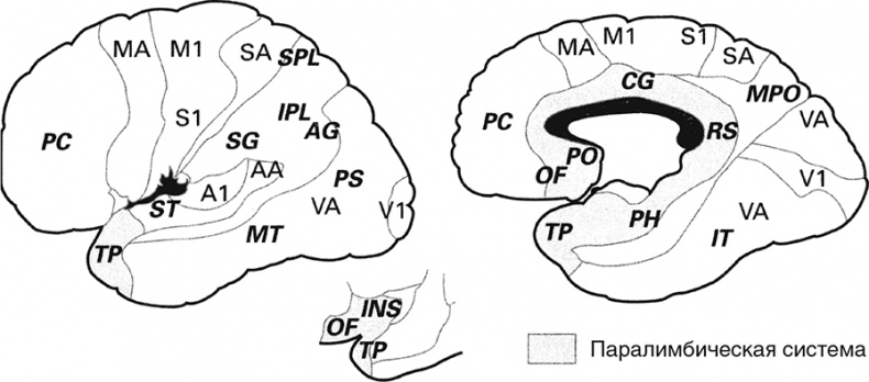 Иллюстрация к книге — Психопаты. Достоверный рассказ о людях без жалости, без совести, без раскаяния [i_007.jpg]