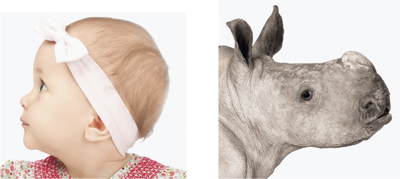 Иллюстрация к книге — Мозг. Ваша личная история [i_002.jpg]