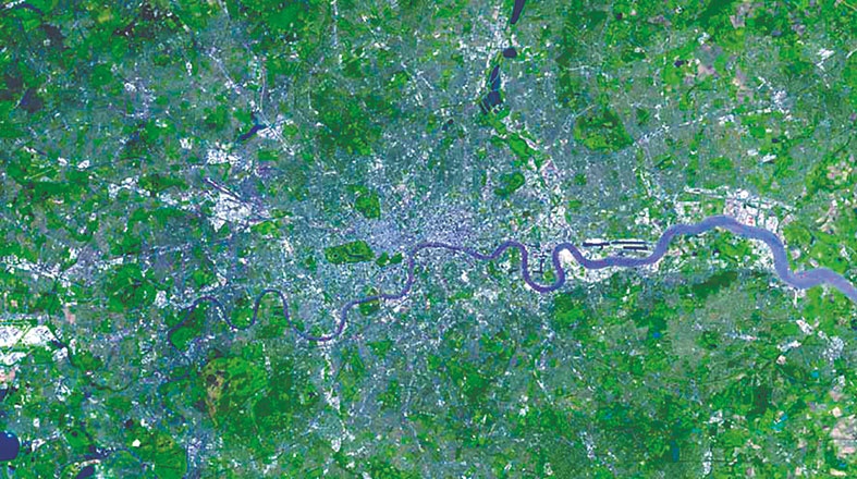 Иллюстрация к книге — Мозг. Ваша личная история [i_008.jpg]