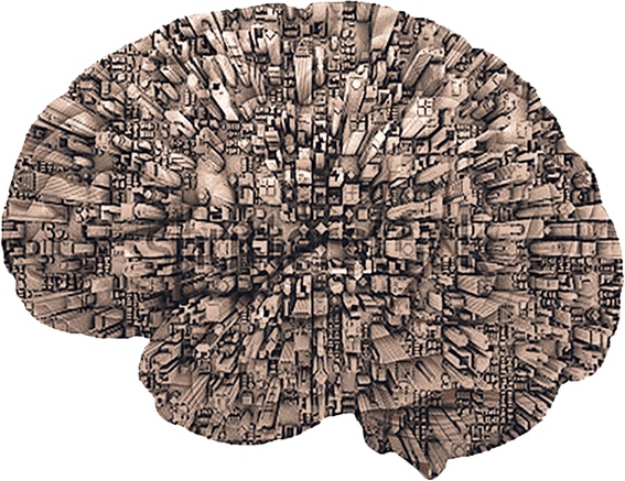 Иллюстрация к книге — Мозг. Ваша личная история [i_027.jpg]