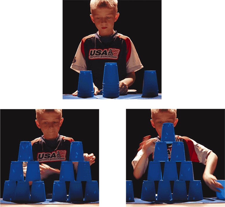 Иллюстрация к книге — Мозг. Ваша личная история [i_041.jpg]