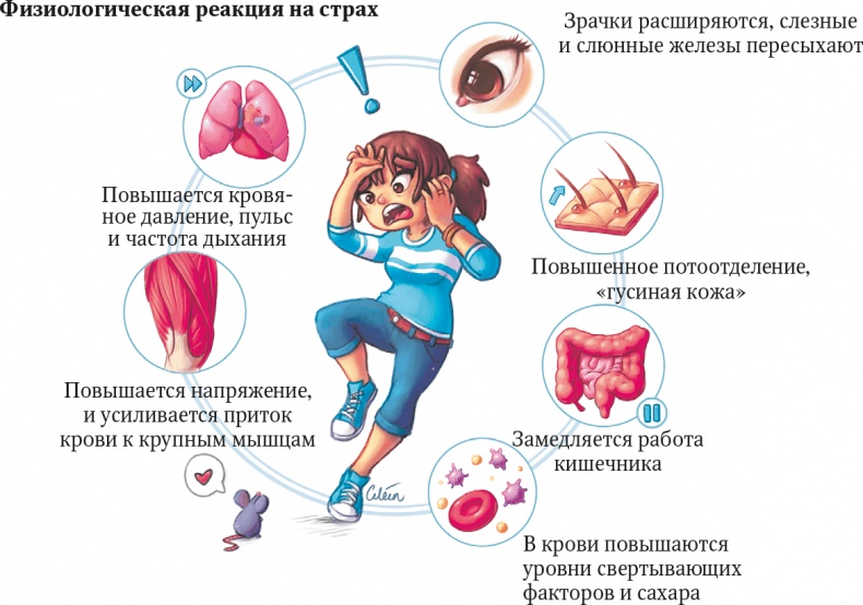 Иллюстрация к книге — Мозг. Ваша личная история [i_062.jpg]