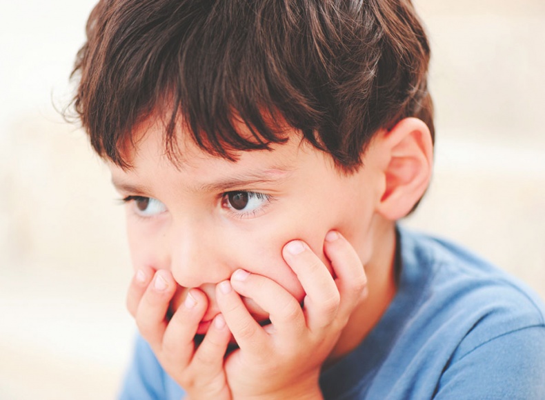 Иллюстрация к книге — Мозг. Ваша личная история [i_070.jpg]