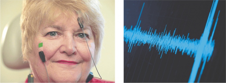 Иллюстрация к книге — Мозг. Ваша личная история [i_072.jpg]