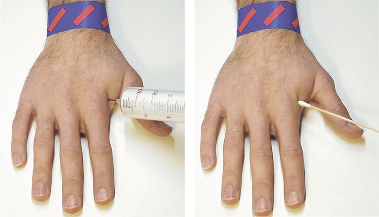 Иллюстрация к книге — Мозг. Ваша личная история [i_081.jpg]