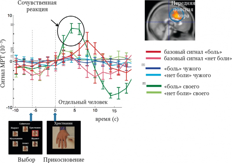 Иллюстрация к книге — Мозг. Ваша личная история [i_082.jpg]