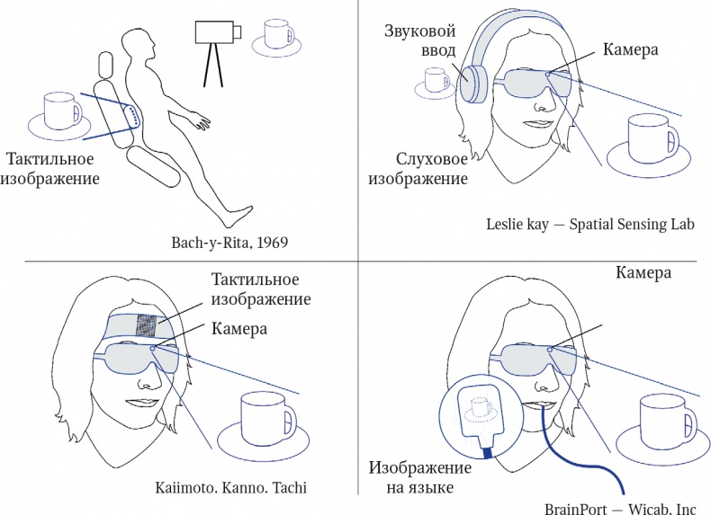 Иллюстрация к книге — Мозг. Ваша личная история [i_086.jpg]