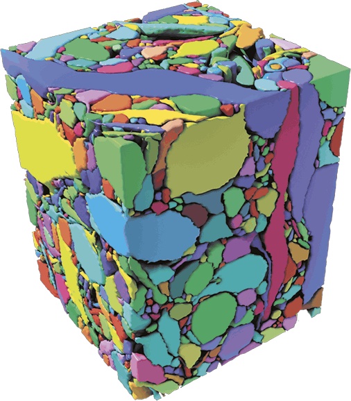 Иллюстрация к книге — Мозг. Ваша личная история [i_094.jpg]