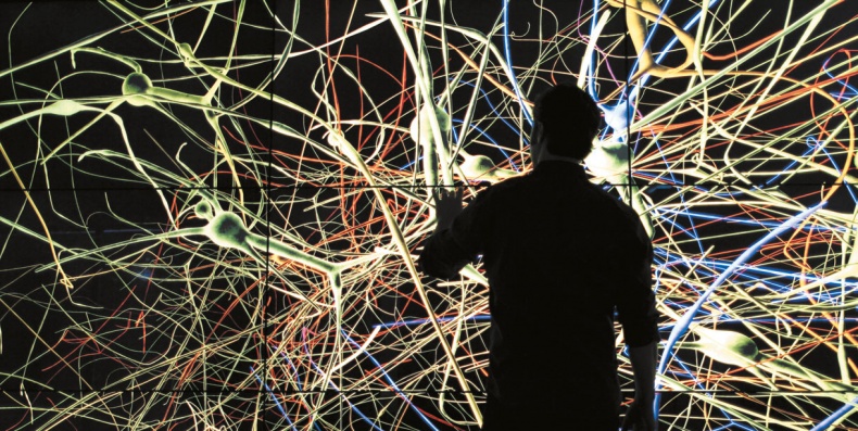 Иллюстрация к книге — Мозг. Ваша личная история [i_096.jpg]