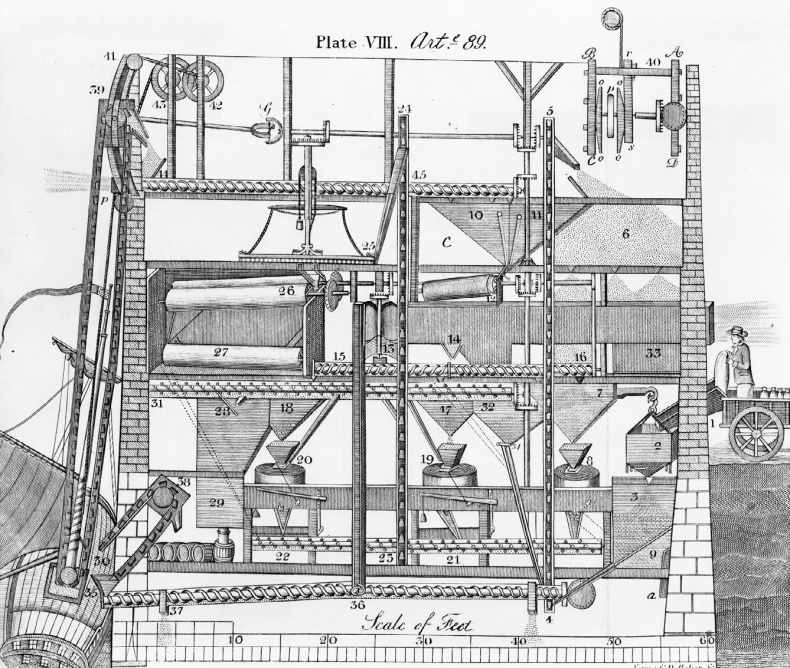 Иллюстрация к книге — Мозг. Ваша личная история [i_101.jpg]