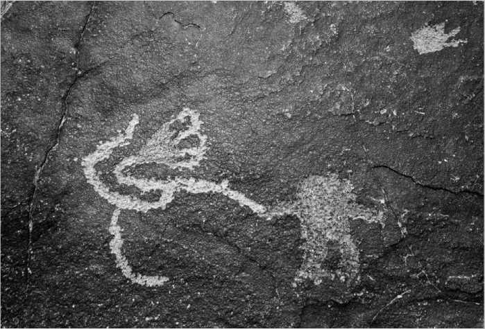 Иллюстрация к книге — Умный ген. Какая еда нужна нашей ДНК [i_001.jpg]