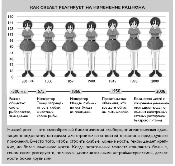 Иллюстрация к книге — Умный ген. Какая еда нужна нашей ДНК [i_022.jpg]