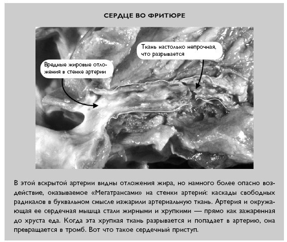 Иллюстрация к книге — Умный ген. Какая еда нужна нашей ДНК [i_029.jpg]