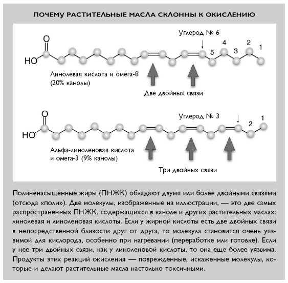 Иллюстрация к книге — Умный ген. Какая еда нужна нашей ДНК [i_032.jpg]