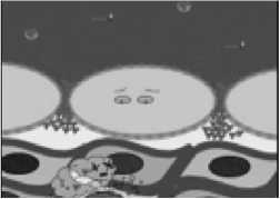 Иллюстрация к книге — Умный ген. Какая еда нужна нашей ДНК [i_038.jpg]