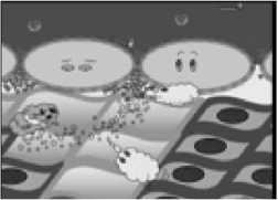 Иллюстрация к книге — Умный ген. Какая еда нужна нашей ДНК [i_039.jpg]