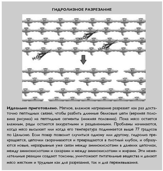 Иллюстрация к книге — Умный ген. Какая еда нужна нашей ДНК [i_048.jpg]