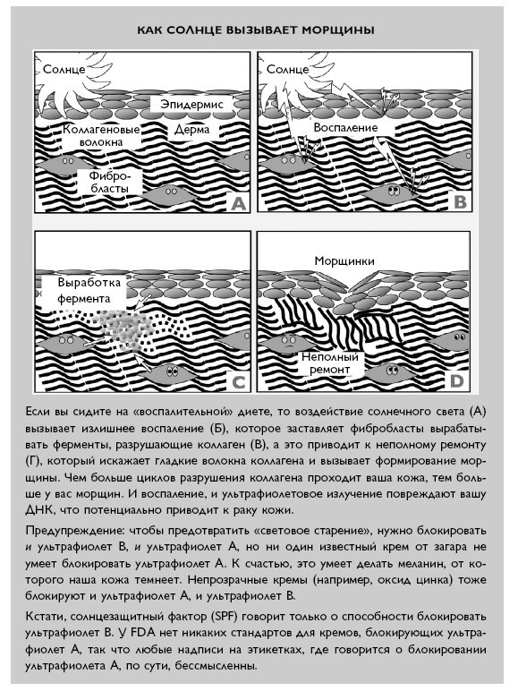 Иллюстрация к книге — Умный ген. Какая еда нужна нашей ДНК [i_060.jpg]