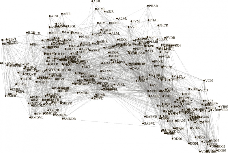 Иллюстрация к книге — Коннектом. Как мозг делает нас тем, что мы есть [i_003.jpg]