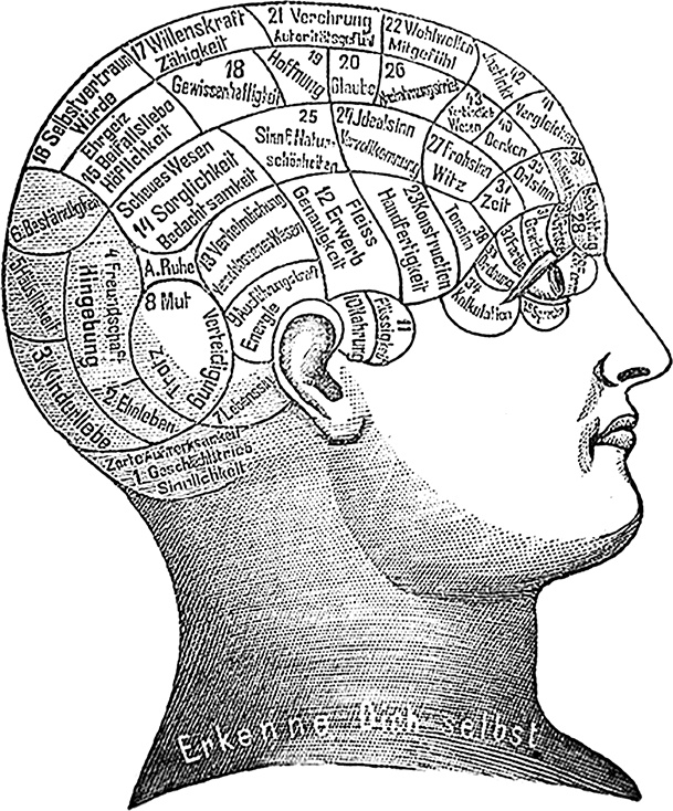 Иллюстрация к книге — Коннектом. Как мозг делает нас тем, что мы есть [i_009.jpg]