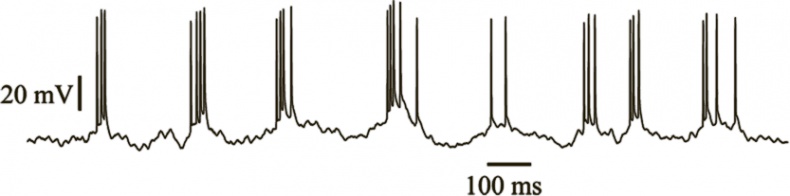 Иллюстрация к книге — Коннектом. Как мозг делает нас тем, что мы есть [i_017.jpg]