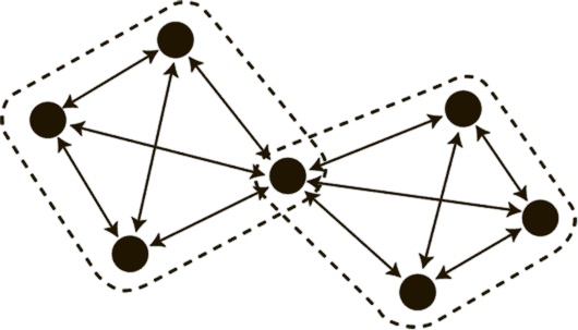 Иллюстрация к книге — Коннектом. Как мозг делает нас тем, что мы есть [i_021.jpg]