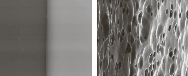 Иллюстрация к книге — Коннектом. Как мозг делает нас тем, что мы есть [i_029.jpg]