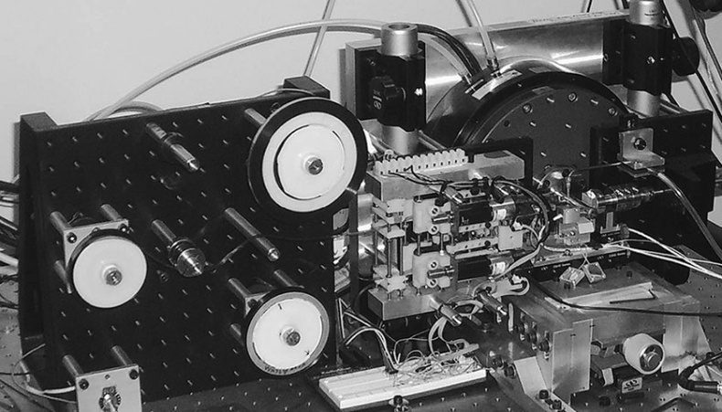 Иллюстрация к книге — Коннектом. Как мозг делает нас тем, что мы есть [i_030.jpg]