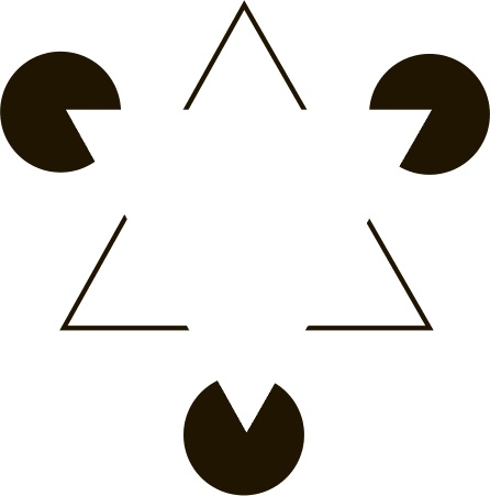 Иллюстрация к книге — Коннектом. Как мозг делает нас тем, что мы есть [i_035.jpg]