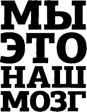 Иллюстрация к книге — Мы - это наш мозг. От матки до Альцгеймера [i_002.jpg]