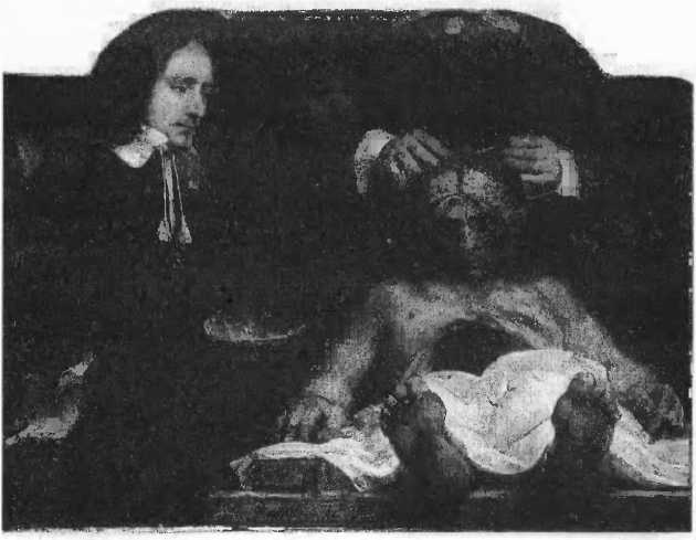 Иллюстрация к книге — Мы - это наш мозг. От матки до Альцгеймера [i_046.jpg]