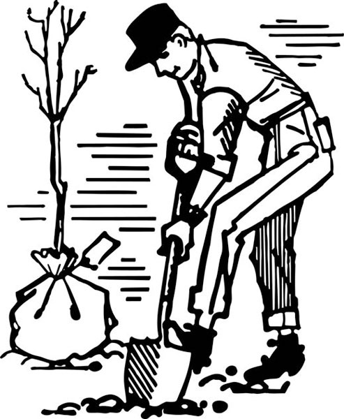 Иллюстрация к книге — Как создать эко огород. Советы врача и садовода с 40-летним стажем! [_156.jpg]