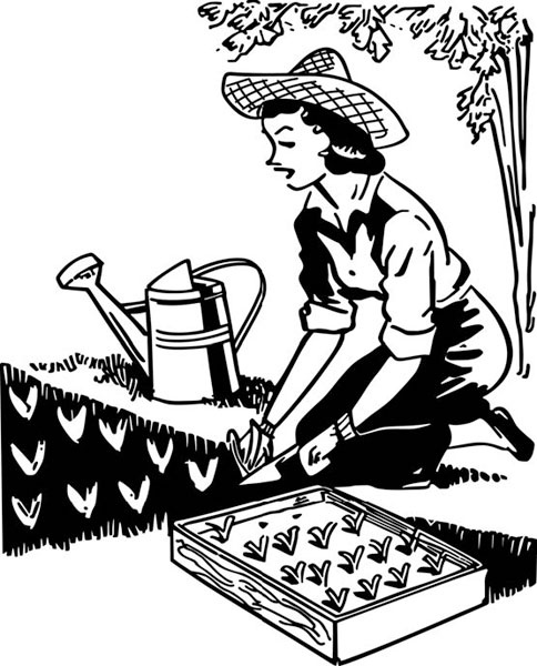 Иллюстрация к книге — Как создать эко огород. Советы врача и садовода с 40-летним стажем! [_175.jpg]