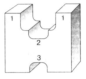 Иллюстрация к книге — Биология: Обмен веществ и энергии в клетках организма [i_005.jpg]