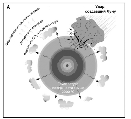 Иллюстрация к книге — Происхождение жизни. От туманности до клетки [i_031.jpg]