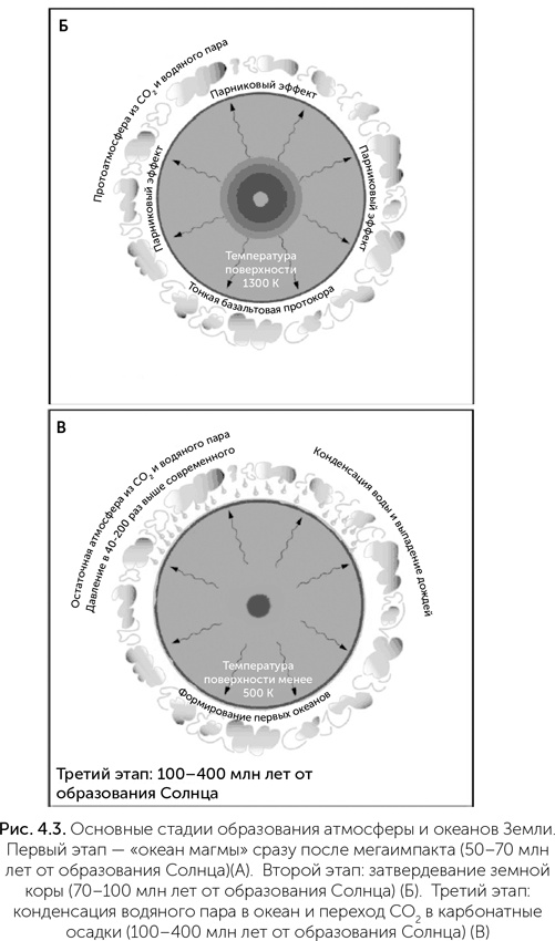 Иллюстрация к книге — Происхождение жизни. От туманности до клетки [i_032.jpg]