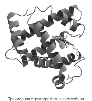 Иллюстрация к книге — Происхождение жизни. От туманности до клетки [i_035.jpg]