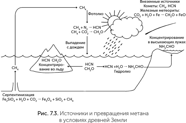 Иллюстрация к книге — Происхождение жизни. От туманности до клетки [i_052.jpg]